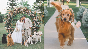 These Dogs Make Up The Cutest Wedding Entourage You'll See Today