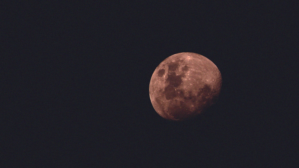 FYI, the Brightest and Biggest "Pink Supermoon" of 2020 Arrives Tomorrow