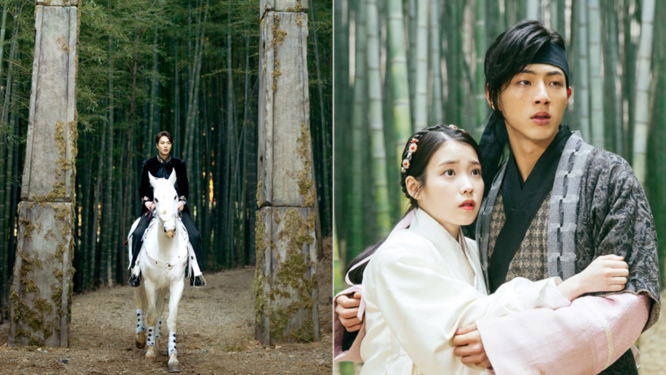 We Finally Found The Bamboo Forest That's Always Featured In K-dramas