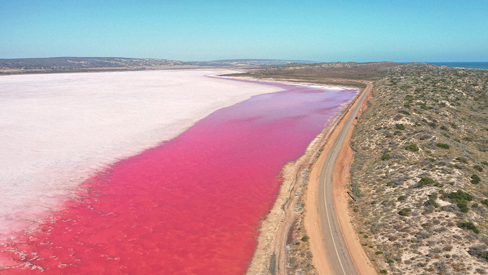5 Pink Lakes in Australia and Where They Got Their Color From