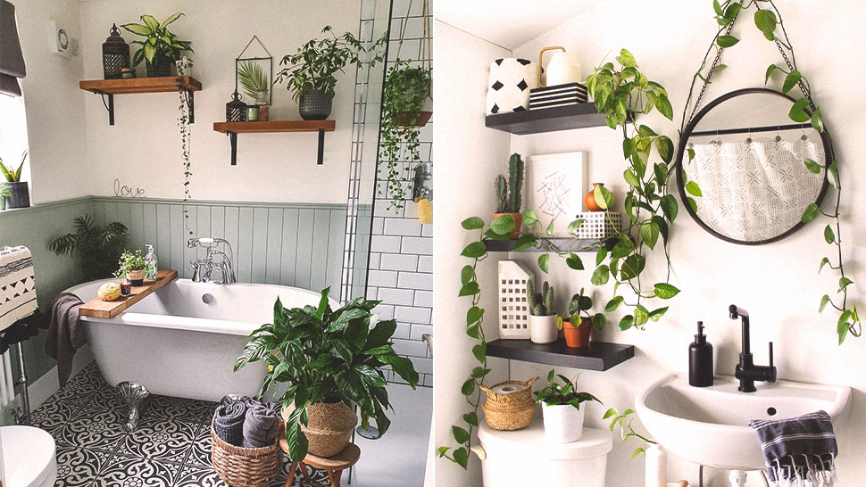 These Photos Of Bathrooms With Plants Are Satisfyingly Soothing