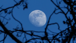 Mark Your Calendars: A Blue Moon Is Coming On Halloween Night This 2020