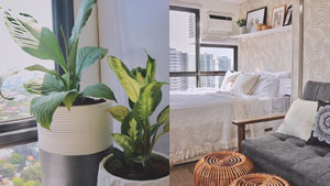 This Beige Nature-inspired Condo Should Be Your Next Bedroom Peg