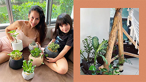 All The Pretty Plants We Love In Ina Raymundo's Home