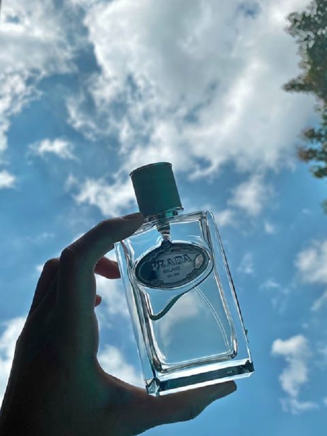 vv and co perfume review