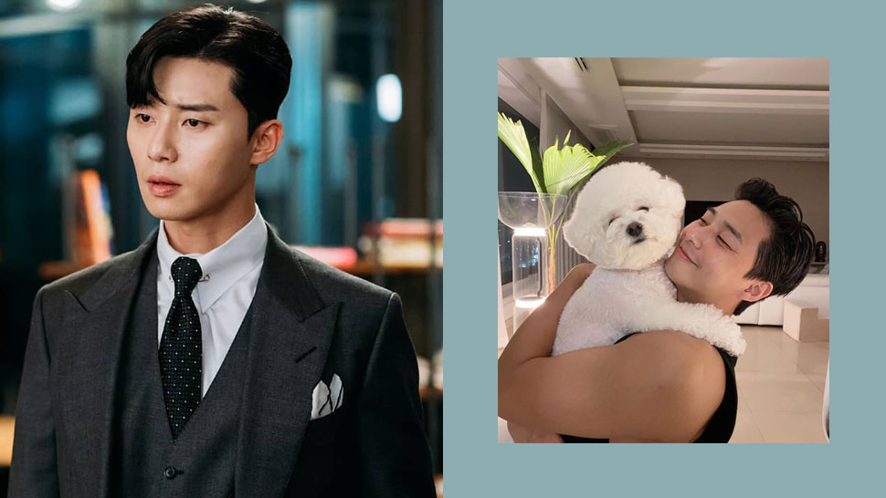 How Rich Is K-drama Actor Park Seo Joon?