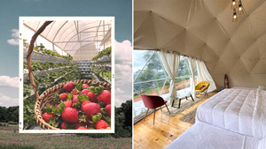 This Unique Glamping Site Lets You Wake Up In A Strawberry Field