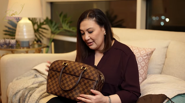 Sharon Cuneta buys Louis Vuitton collar for stray dog she adopted from  Olongapo