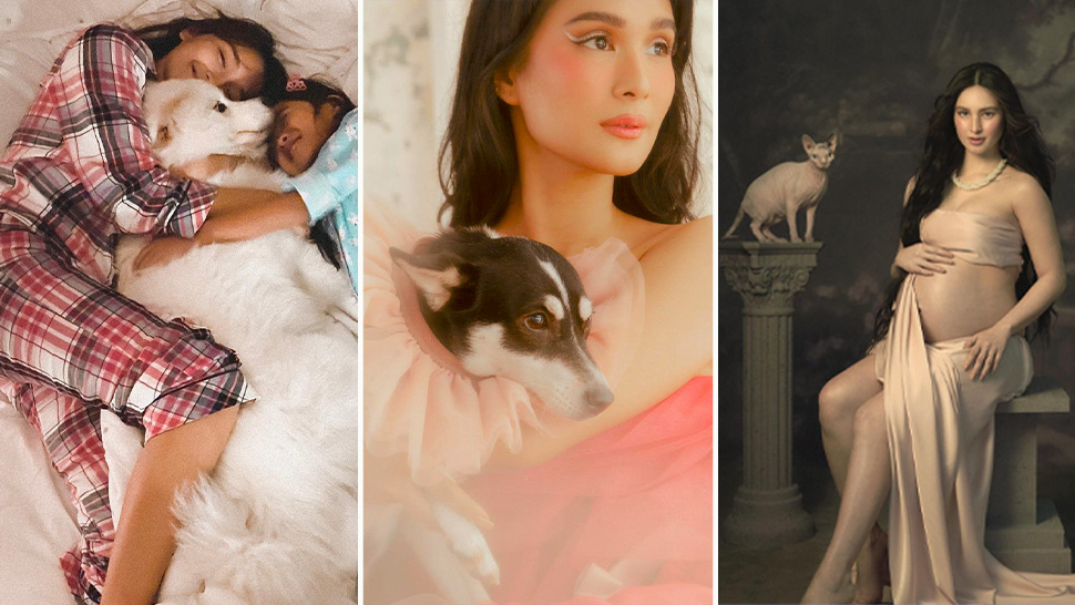 Meet The Cutest Pets Of Your Favorite Local Celebrities