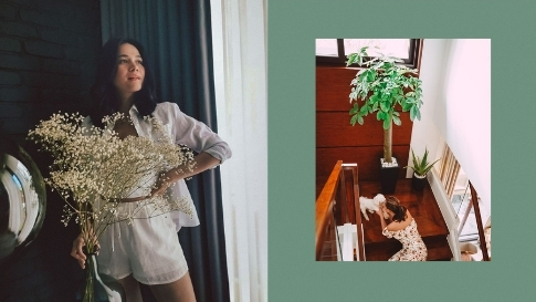 All The Plants We Love In Bea Alonzo's Home