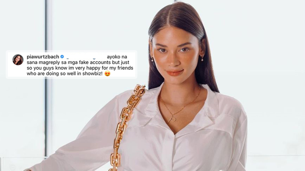 Pia Wurtzbach Gave The Classiest Response To A Netizen's Unsolicited Career Advice