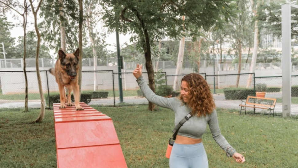 BGC's Newest Dog Park Lets Your Furry Friends Run Free