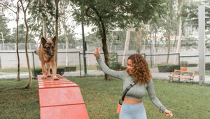 Bgc's Newest Dog Park Lets Your Furry Friends Run Free