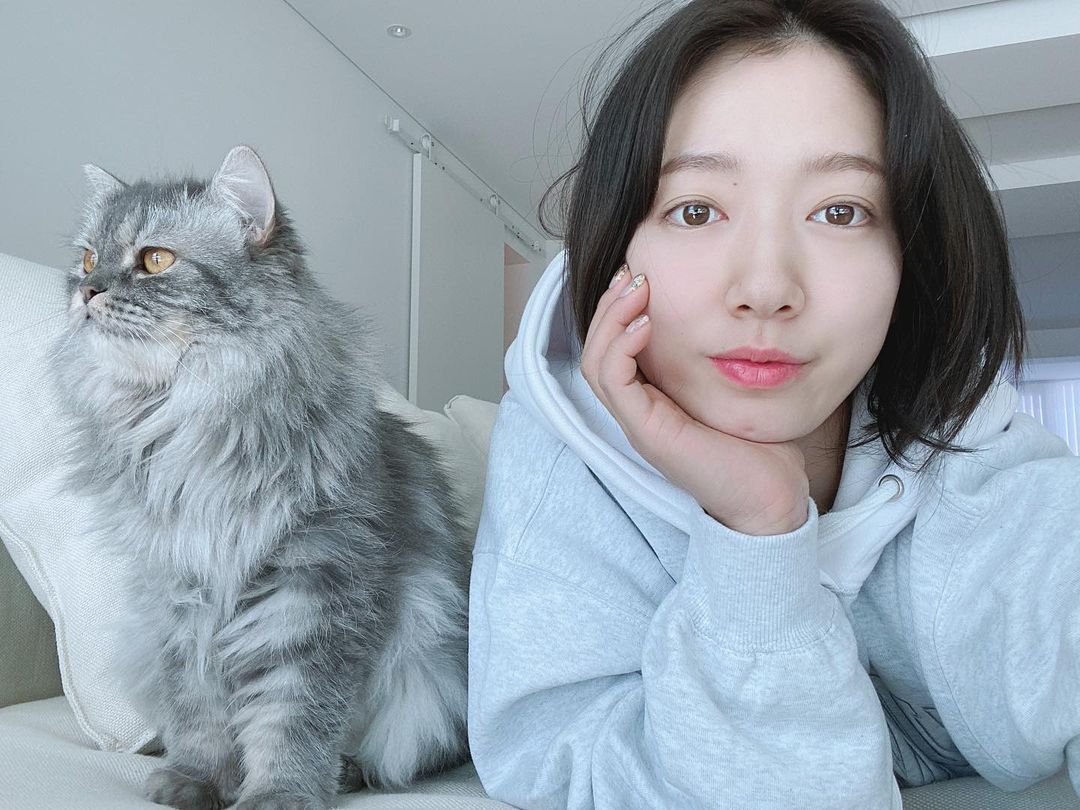 park shin hye with her cat