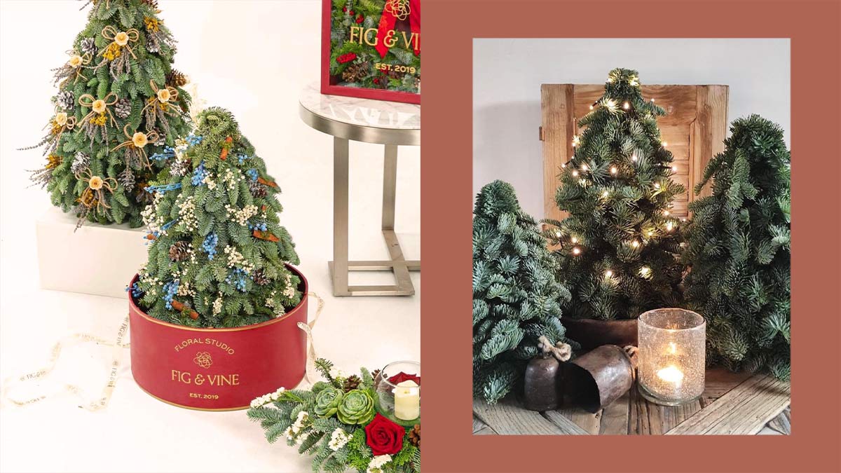 5 Online Shops Where You Can Buy Mini Pine Trees for Christmas