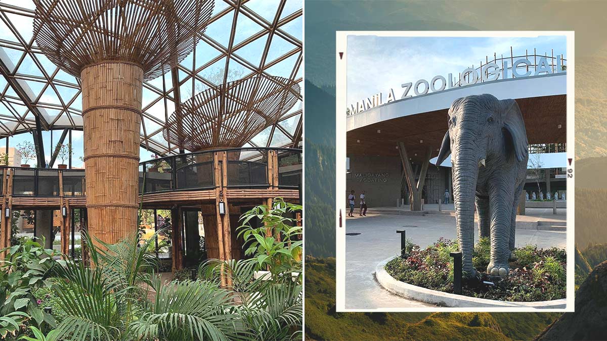 The Newly Renovated Manila Zoo Is Opening Soon And It Looks Almost Unrecognizable