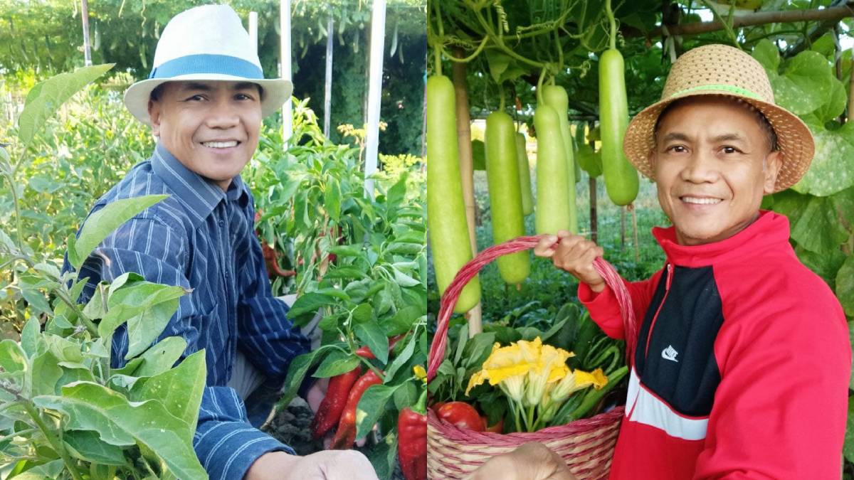 Here's How This Ofw Earns P120,000 From His Vegetable Garden In Italy