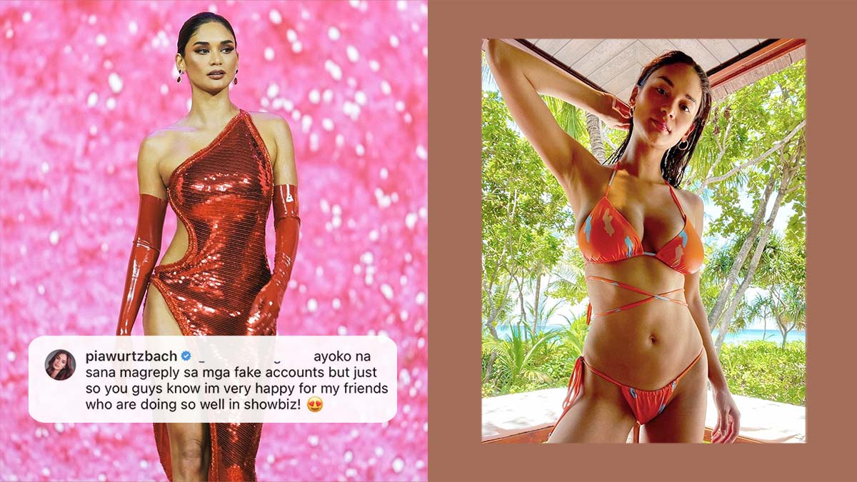 Pia Wurtzbach Is a True Queen When It Comes to Dealing with Bashers and Here's Proof
