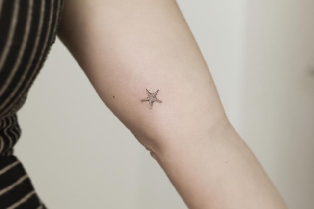 Small Starfish Tattoo Perfect size  Tatuagens de estrela do mar  Desenhos tatuagens borboleta Ideias de tatuagens