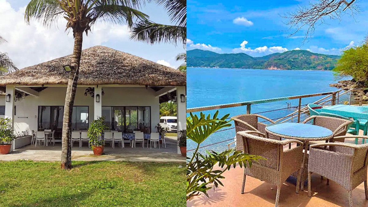 10 Beachside Airbnbs In Batangas You Can Bring Your Furbabies To
