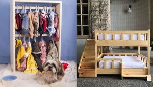 10 Online Pet Shops Where You Can Score The Cutest Finds For Your Furry Friends