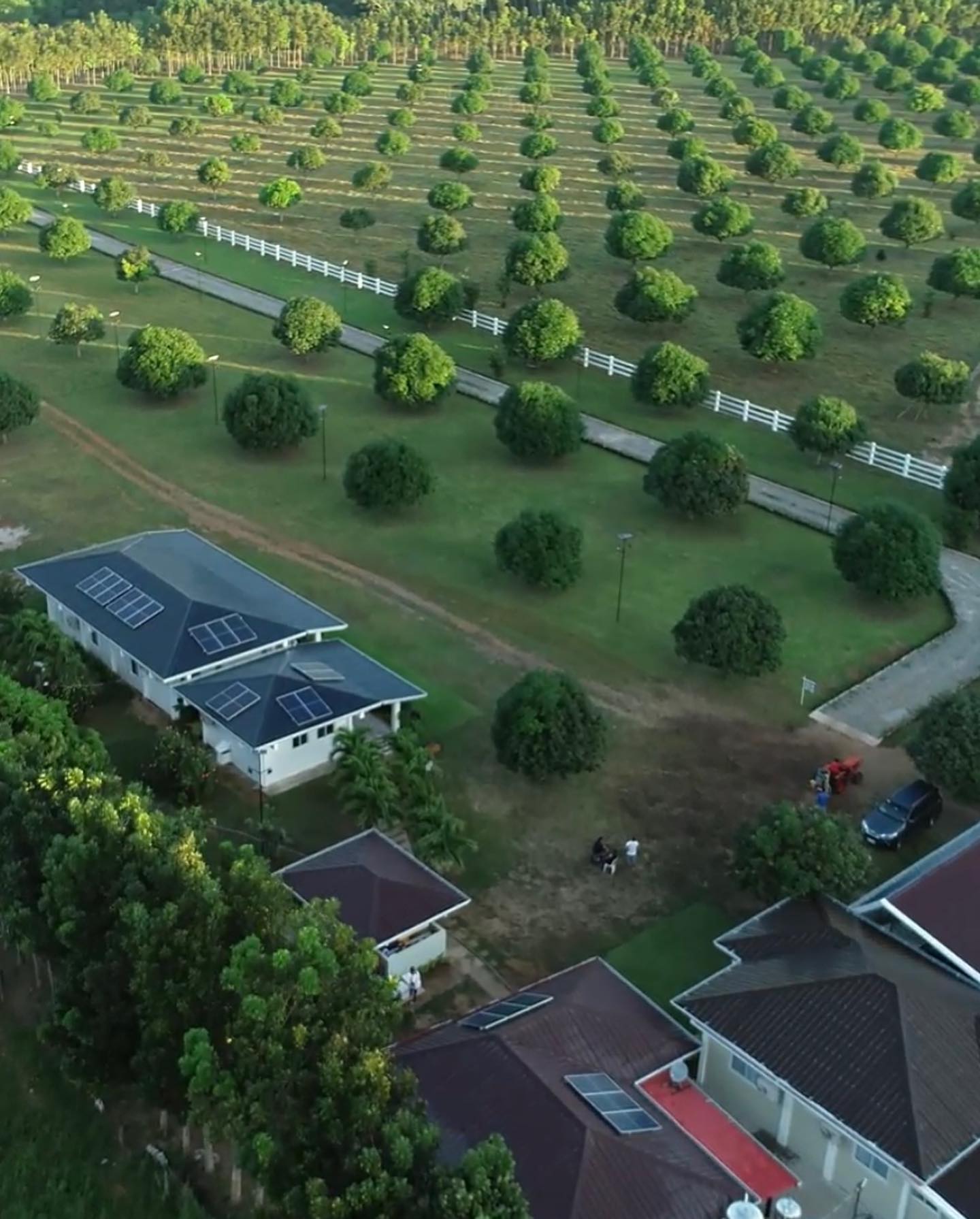 Filipino Celebrities That Have Their Own Farms | Preview.ph