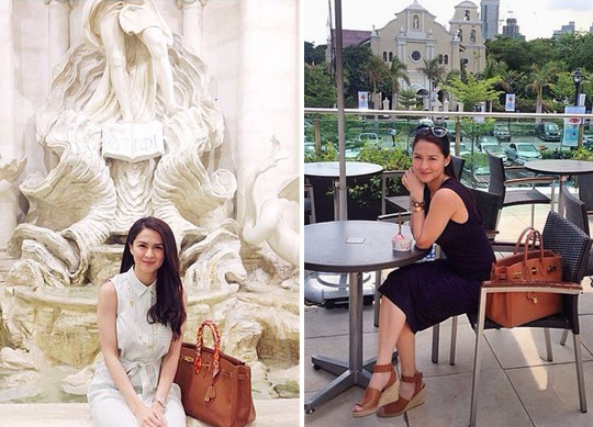 MARIAN RIVERA HERMES BAG COLLECTION AND OTHER BRAND