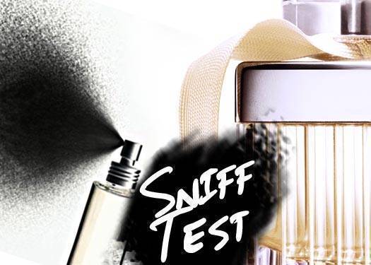 Sniff Test 1