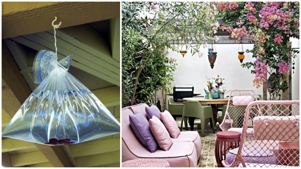 HowTo Repel Flies With Only A Bag Of Water RL