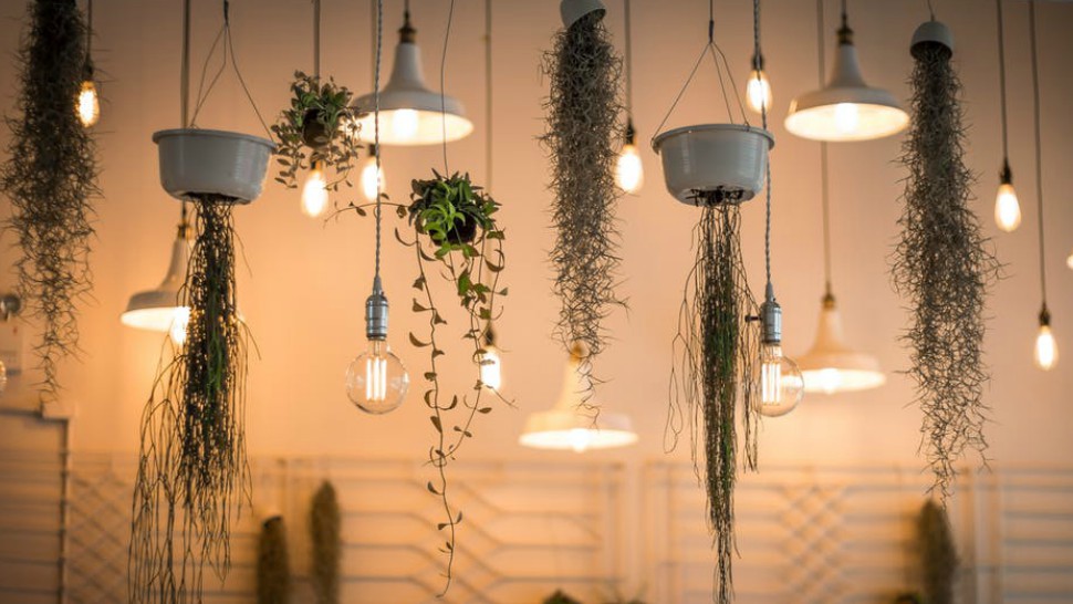 5 Types Of Lights You Need To Know RL