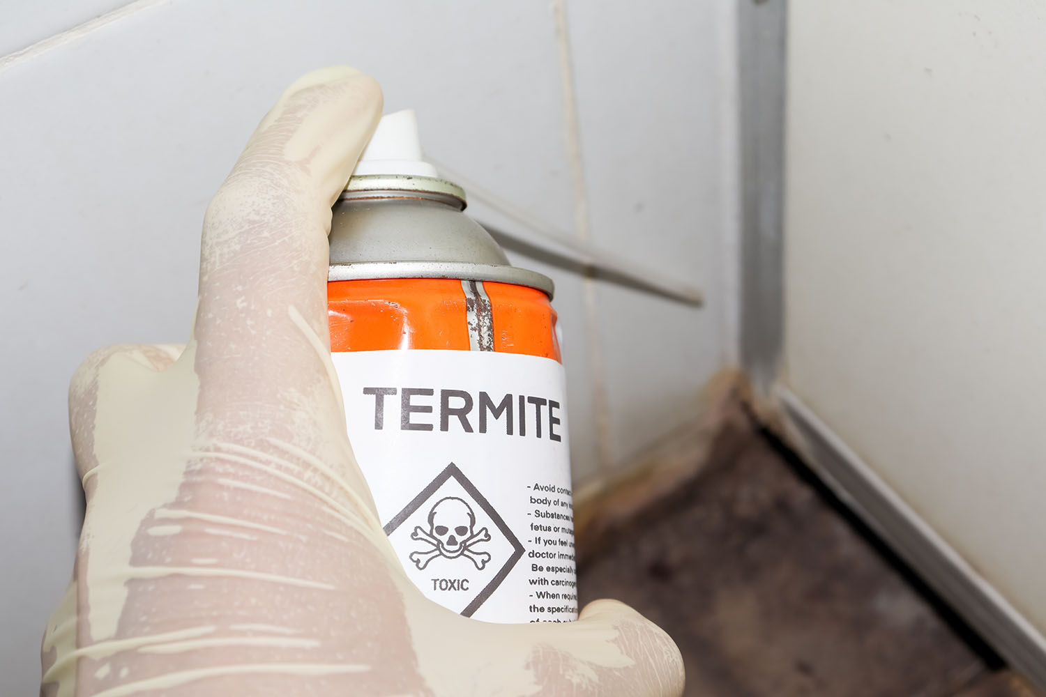 how to spot termite infestation