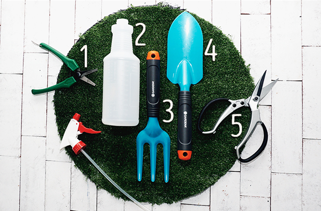 5 Affordable And Essential Tools For Urban Gardening