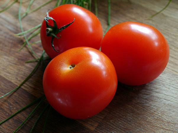 6 Easy To Grow Vegetables For Beginners