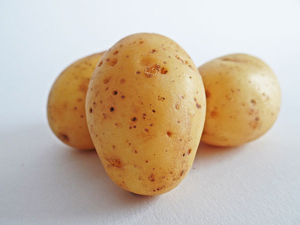 6 Easy To Grow Vegetables For Beginners