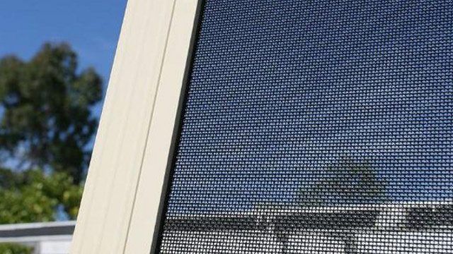 window screens