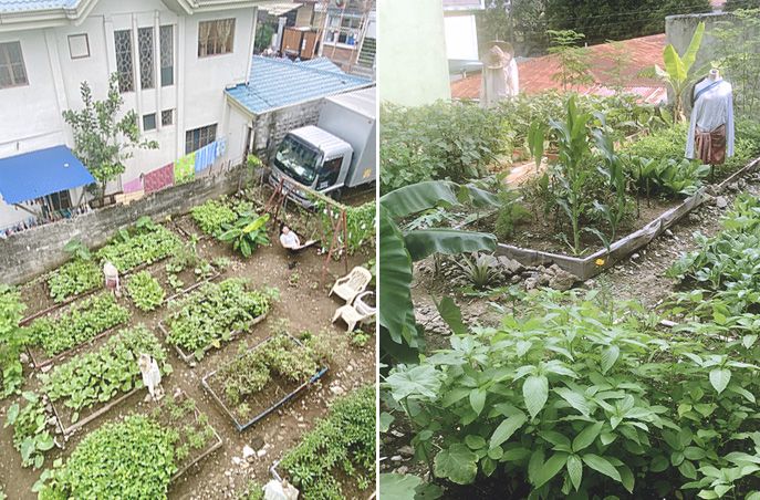 Urban Garden In Qc, Urban Gardening Ideas Philippines