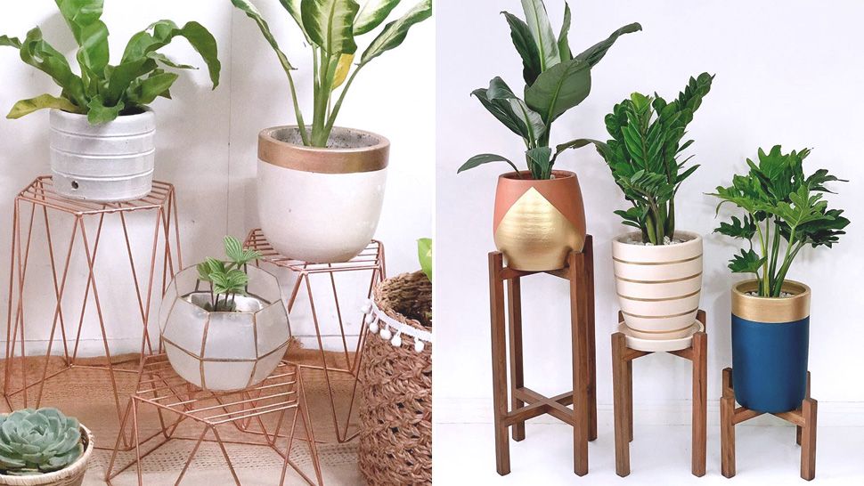 Plant Stands You Can For, Plant Stands For Hardwood Floors