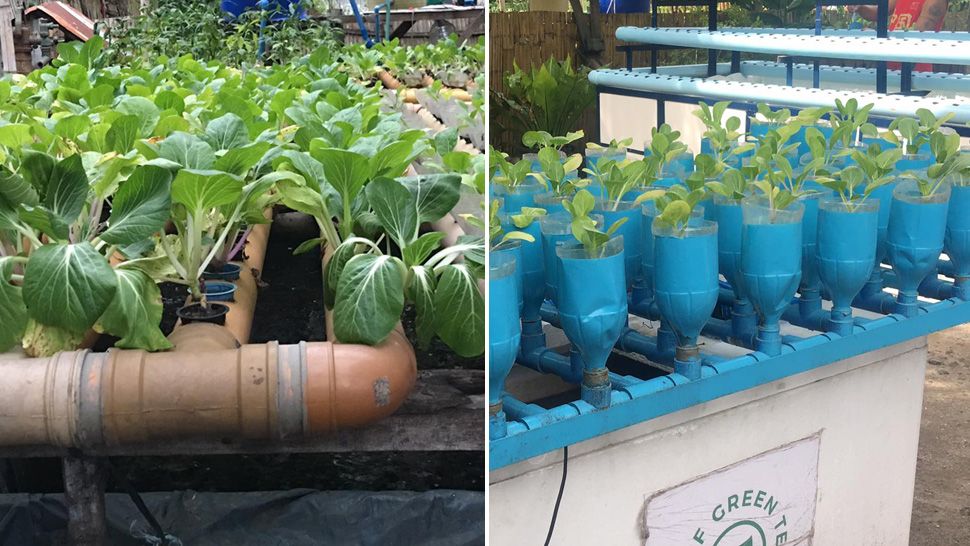 Community Through Container Gardening, What Is Urban Container Gardening