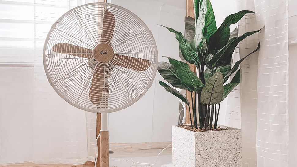 Asahi Aesthetic Electric Fan With Wooden Accent Real Living