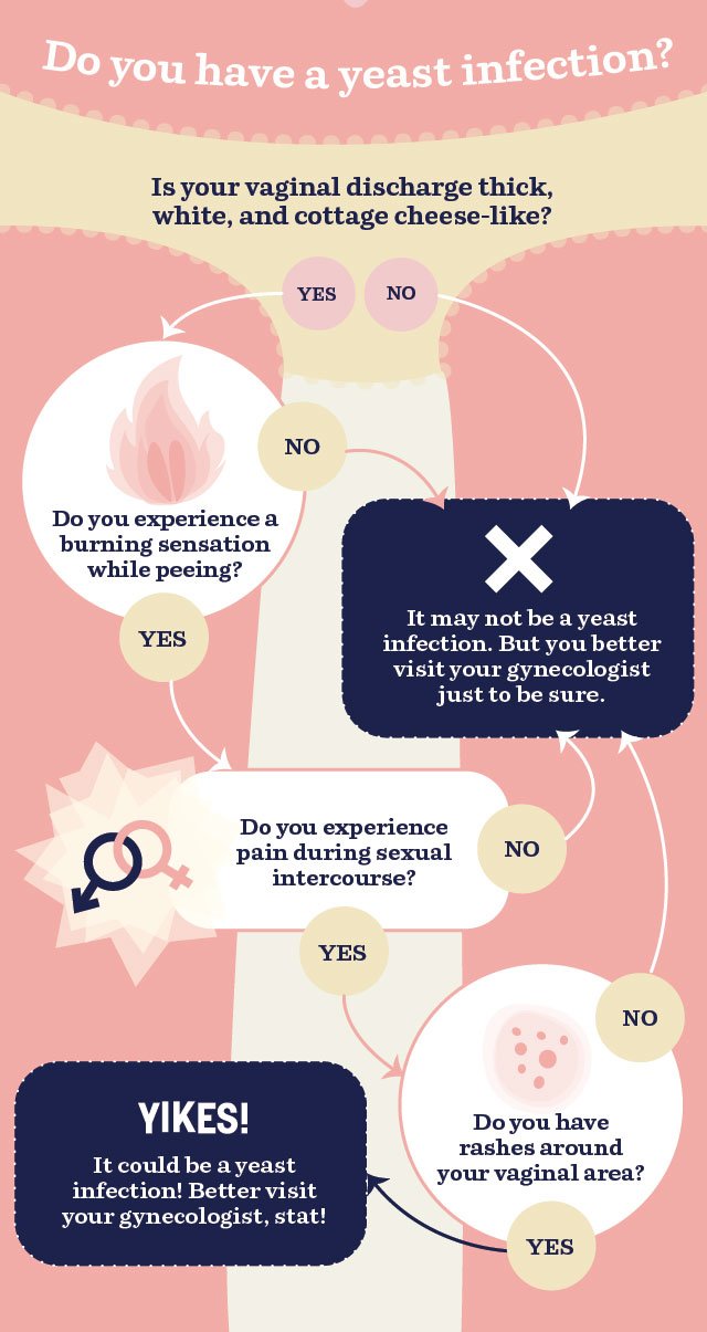 Image result for Why Yeast Infections Persist infographics