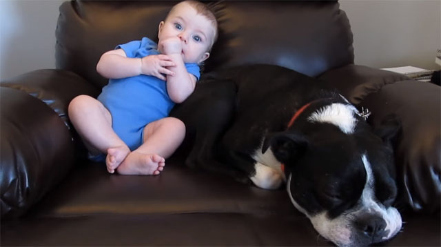 This Baby's Pooping Scared Away the Dog!