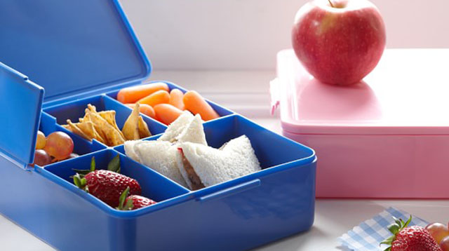 A Mom's Guide to Choosing Best Lunch Box for Kids