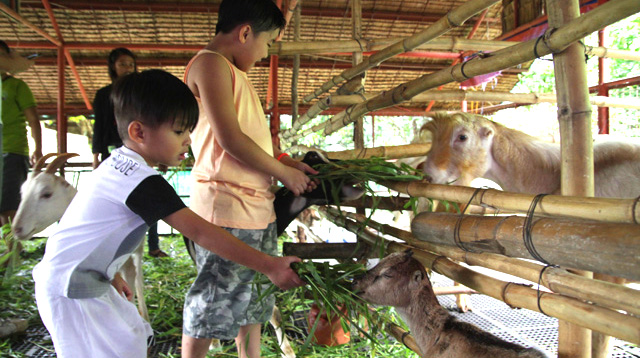 Introduce Kids to Buhay Probinsya with MAD Travel's Kids Camp