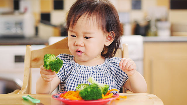 Toddler Likes to Throw Her Food? 5 Expert Tips to Lessen the Mess