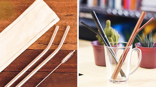 Make the Switch to Steel Straws When the Family Travels! Where to Buy