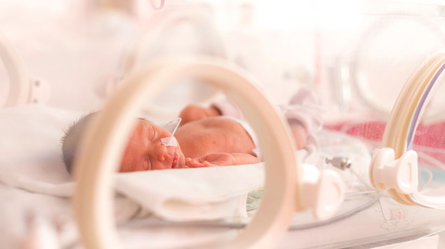 Your Premature Baby: The Care He Needs From You and His Doctor