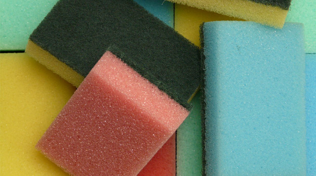 Kitchen Sponge Can Have More Germs Than a Toilet Bowl! Here's the Best Way to Clean It