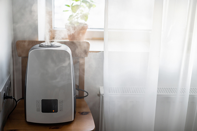 Air Purifier Vs Humidifier: What Your Home Really Needs