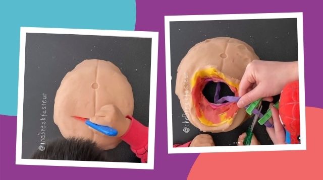 Doctor Uses Playdough To Show Her Son How To Deliver A Baby Via C-Section