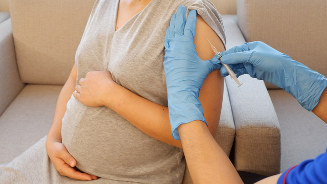 Immunologist Answers: Should Pregnant Women Get The COVID-19 Vaccine?